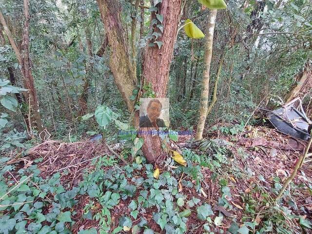 Área para Venda em Cotia - 4