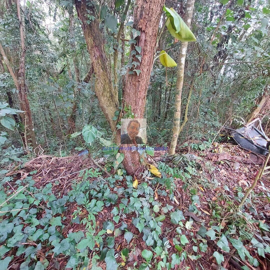 Terreno à venda, 400m² - Foto 4