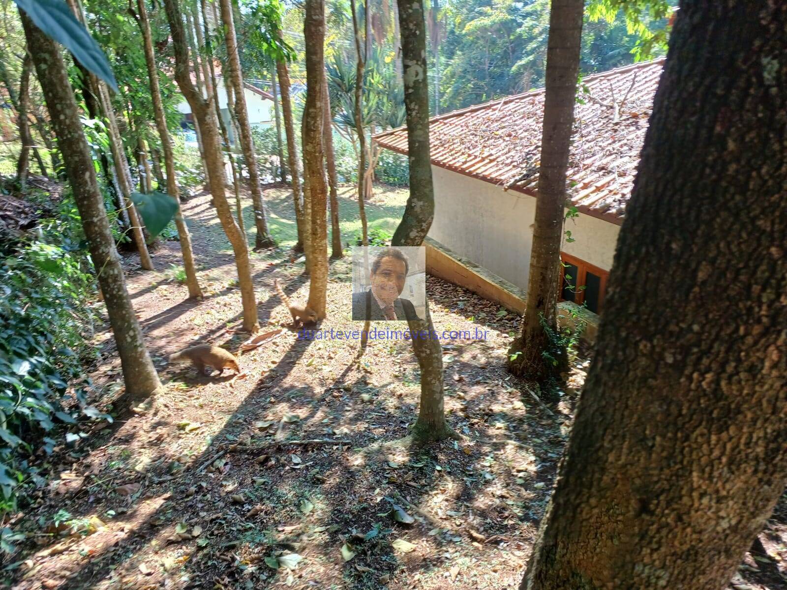 Casa de Condomínio à venda com 4 quartos, 237m² - Foto 73