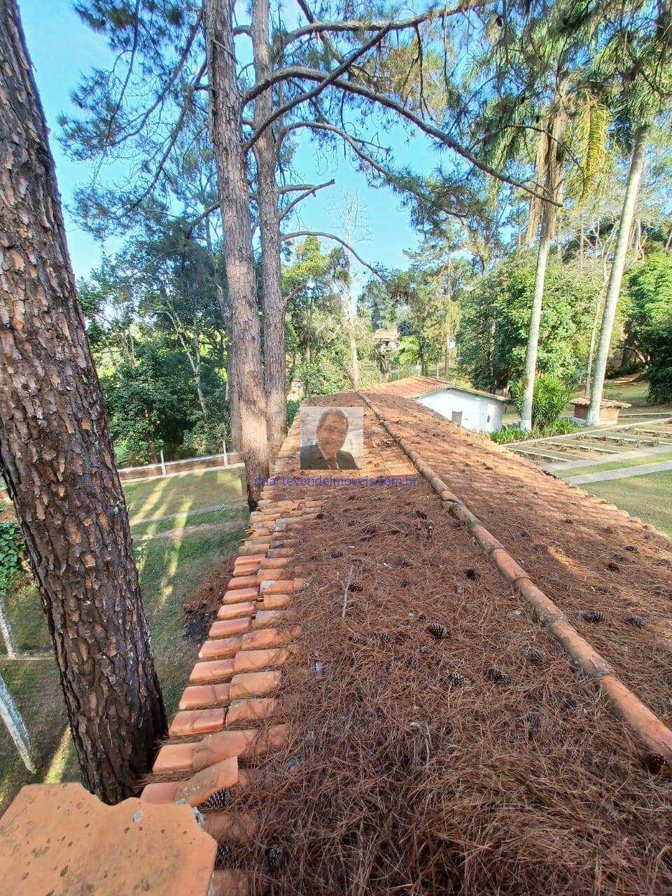 Fazenda à venda com 2 quartos, 500m² - Foto 11