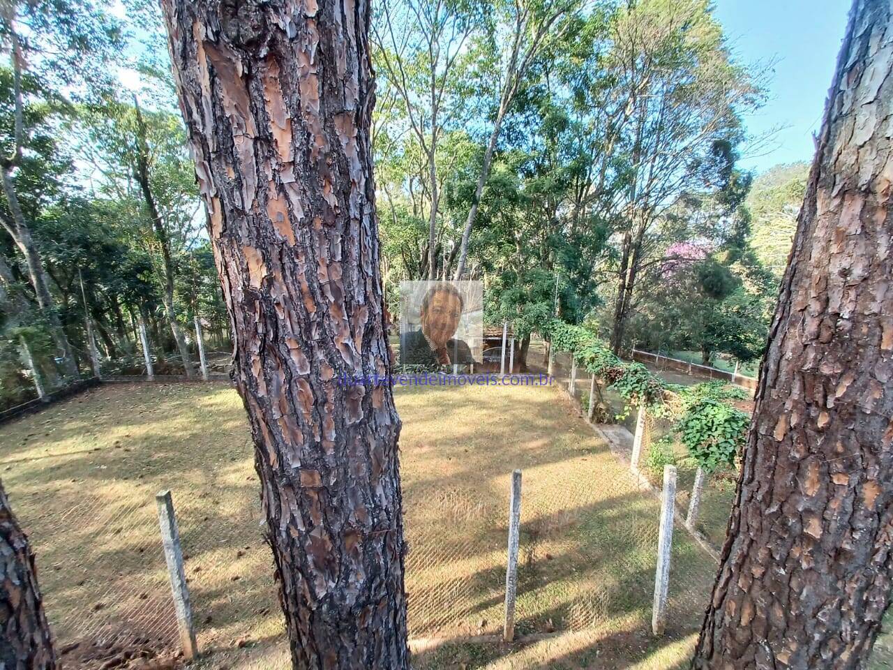 Fazenda à venda com 2 quartos, 500m² - Foto 13