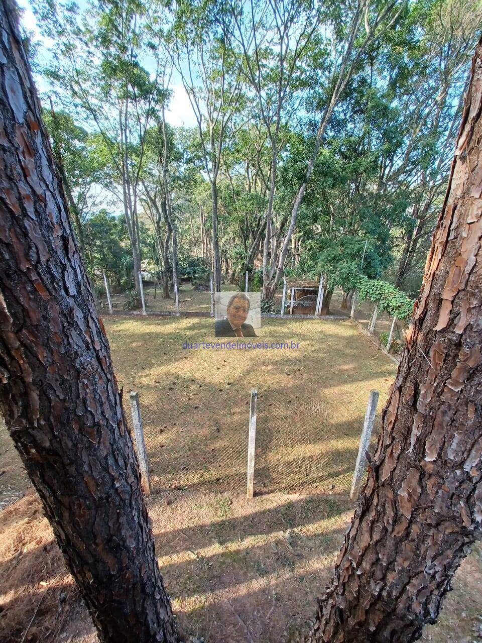 Fazenda à venda com 2 quartos, 500m² - Foto 12