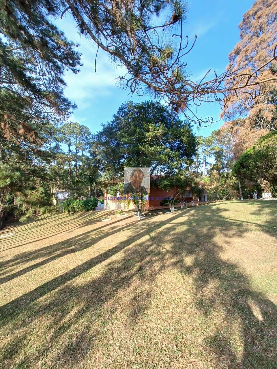 Fazenda à venda com 2 quartos, 500m² - Foto 29