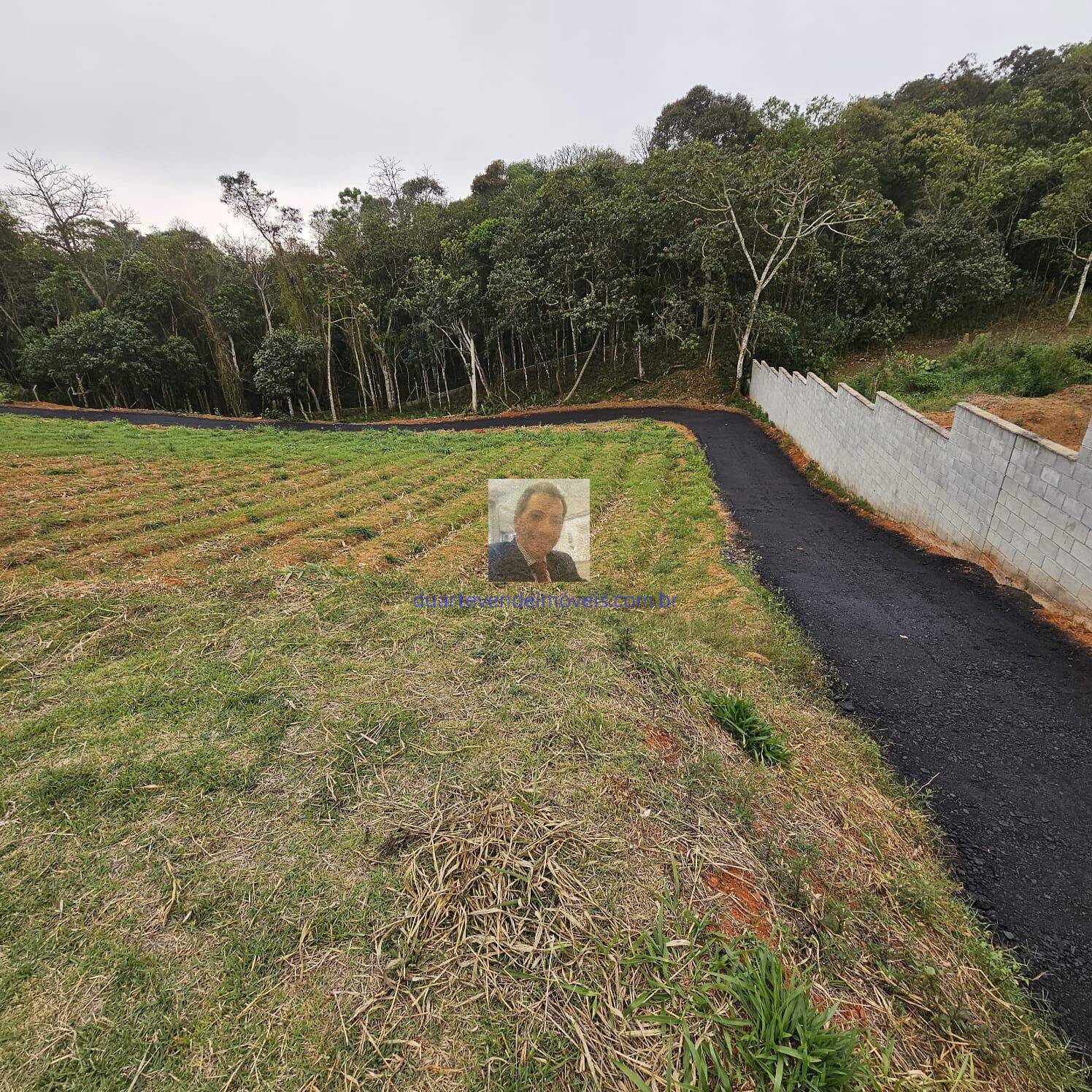 Fazenda à venda com 3 quartos, 25000m² - Foto 19